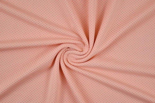 富民布料市場(chǎng)迎來(lái)新成員 濛運(yùn)針織