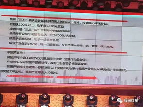 綏寧特產走俏省城 一“攤”好生意，點亮鄉村發展新機遇